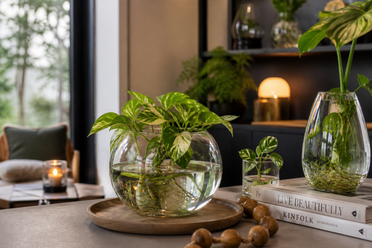 🌿 Aquascaping: natuur en design in perfecte balans