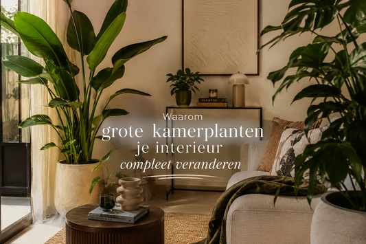 🌿 Waarom grote kamerplanten je interieur compleet veranderen