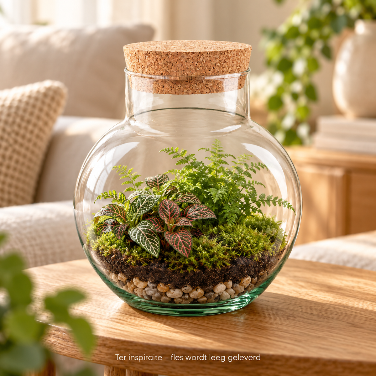 🌿 Terrariumfles met Kurk – Noah