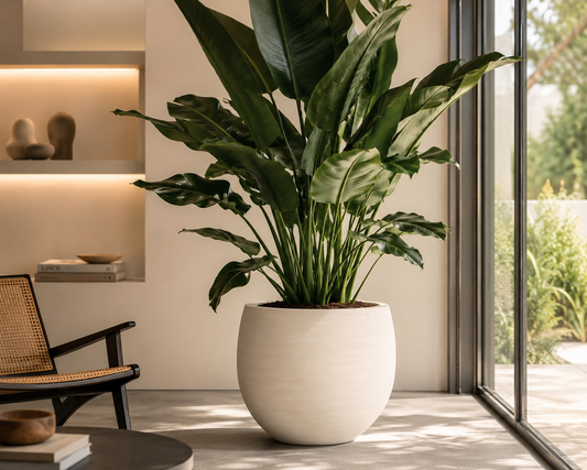 🪴 Jumbo Orb Ivory Washed – Exclusieve Designpot met Zachte Organische Vormen | D53 x H45 cm