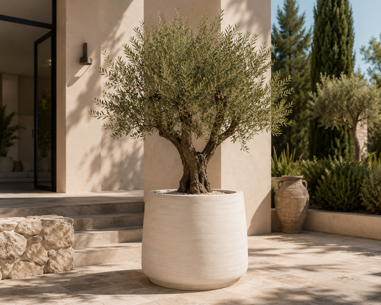 🪴 Jumbo Patt Ivory Washed – Exclusieve XXL Designpot met Tijdloze Elegantie | D119 x H97 cm