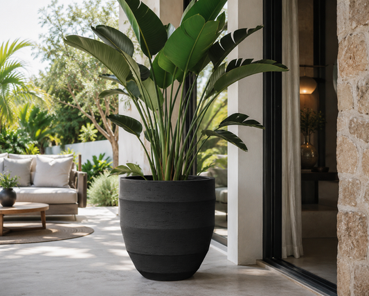 🪴 Pot Bordo New Egg Earth | D36 x H31
