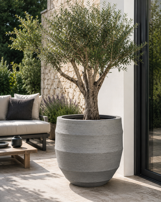 🪴 Pot Bordo New Egg Grey | D55 x H46