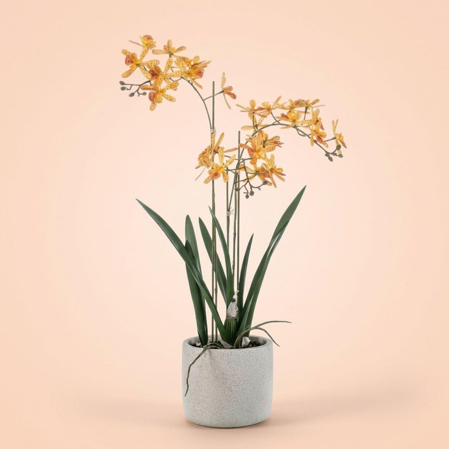 🌼 Renanthera Orchidee Geel & Oranje | Luxe Kunstplant in Pot