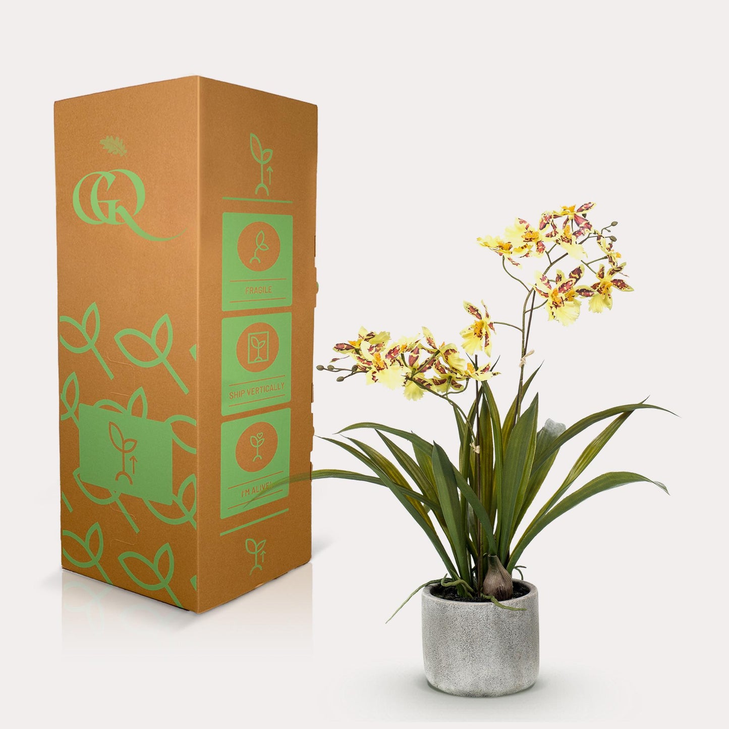 🌼 Orchidee – Kunstplant (45 cm, Geel)
