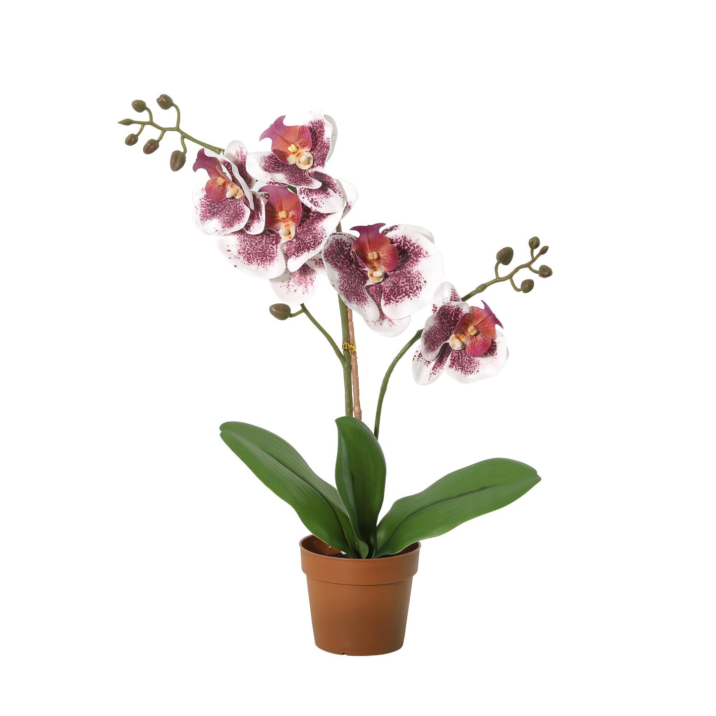 🌸 Kunst Phalaenopsis Orchidee Violet-Wit | Luxe Real Touch Orchidee