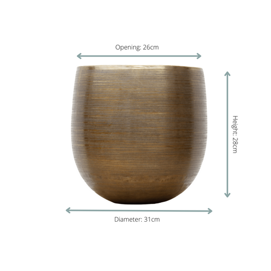 🪴 Pot Rowen Gold – D31 x H28 cm
