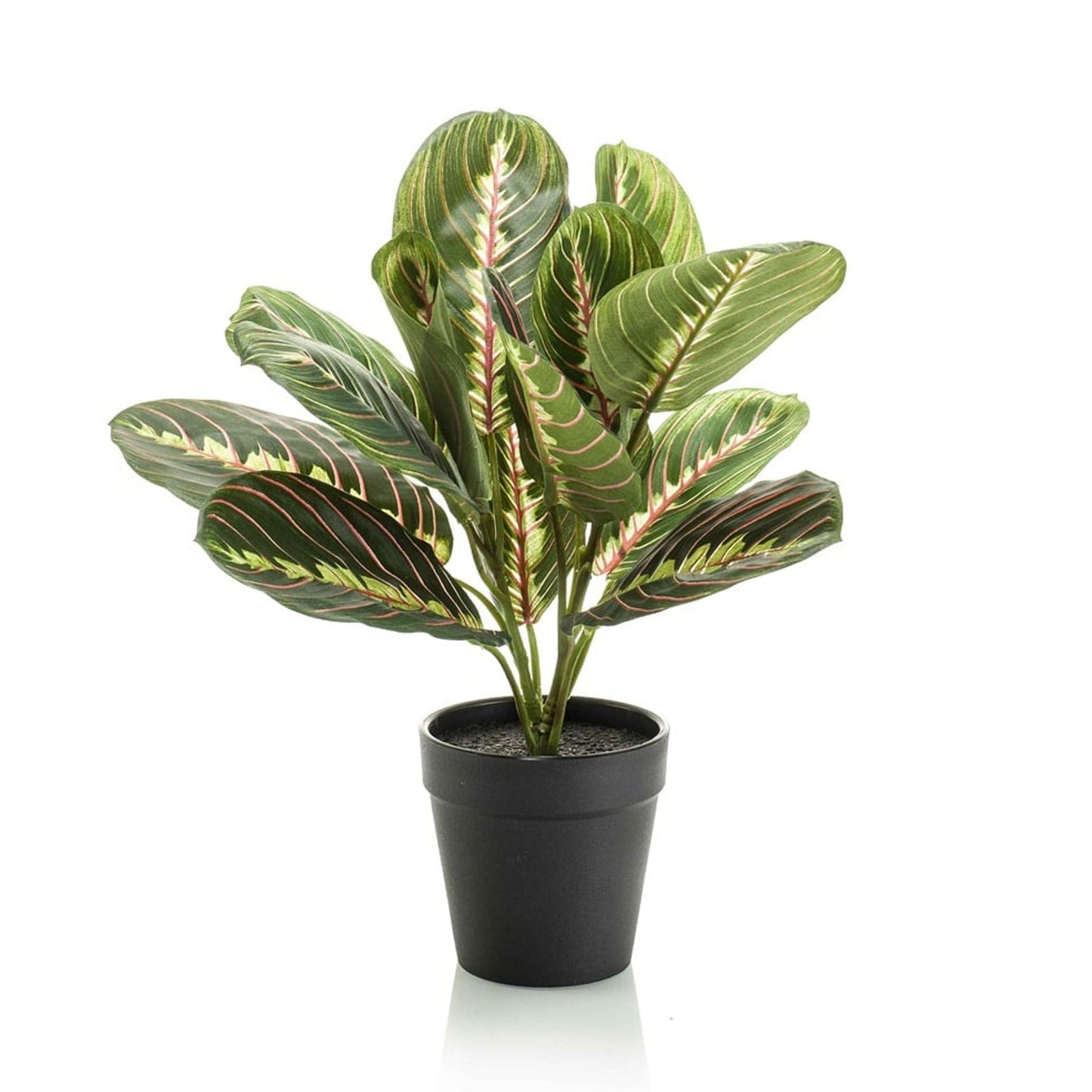 🌿 Maranta – Realistische Kunstplant in Pot (30 cm)