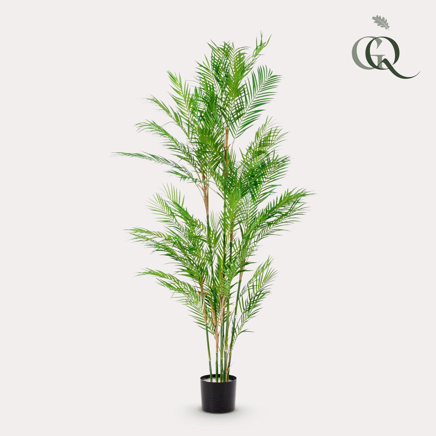 🌴 Kunstplant Chamaedorea Elegans – Bergpalm | Luxe Tropische Kunstplant