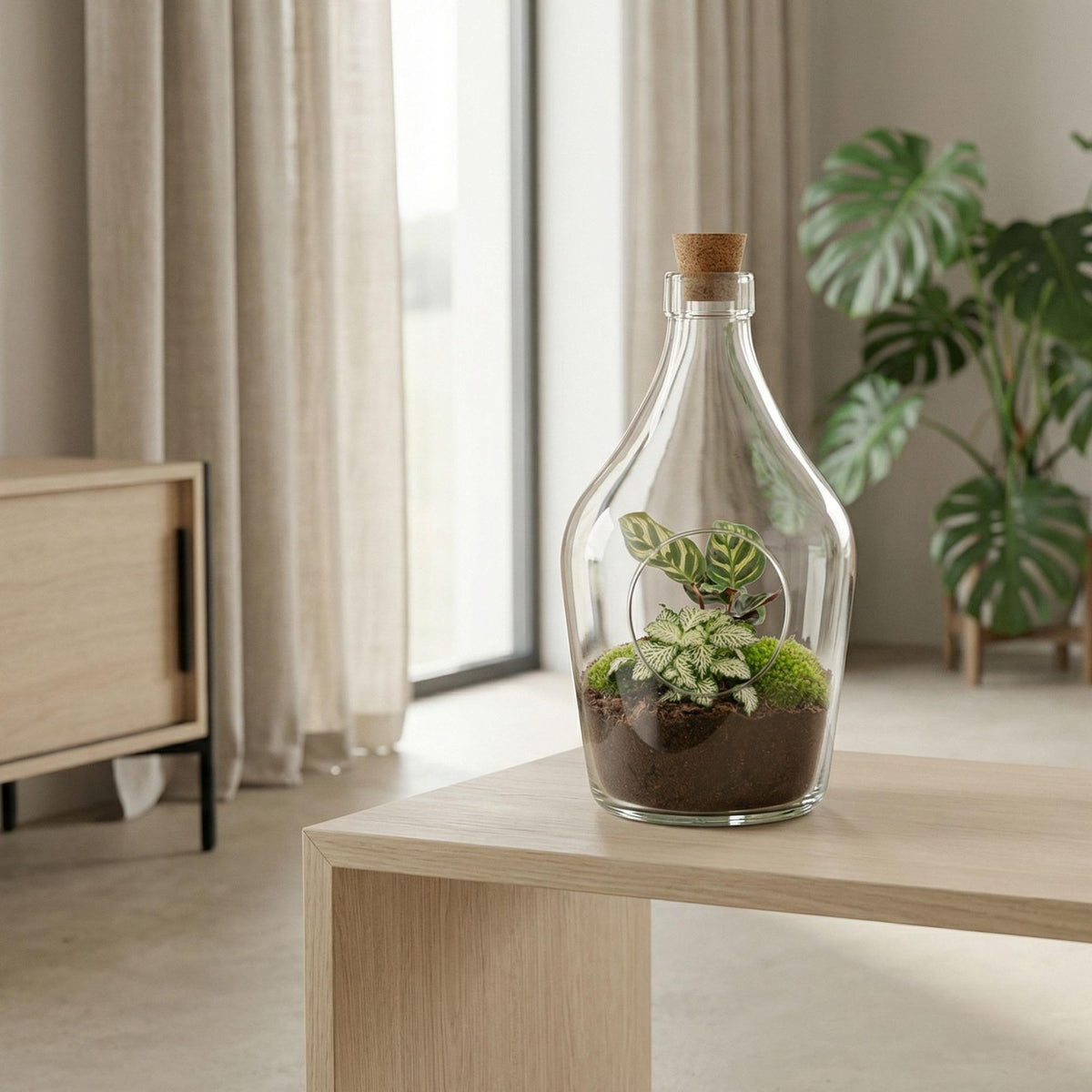 🌿 Open Plantenterrarium – Joss