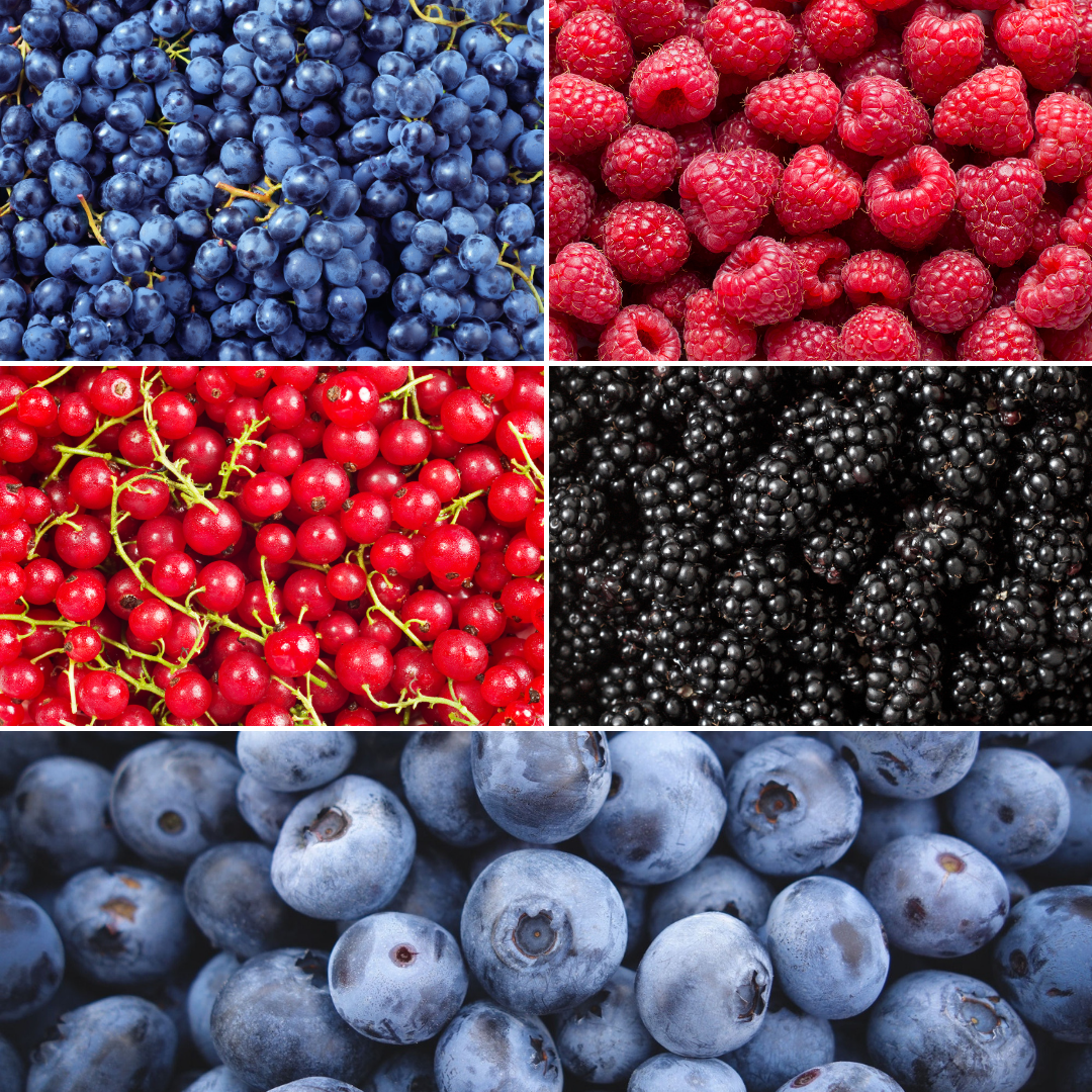 🍓 BIO Fruitplanten Mix ‘Vruchten Oase’ (5 Stuks)