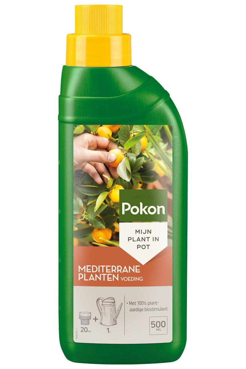 🌿 Pokon Mediterrane Plantenvoeding – 500 ml – Voor Gezonde Mediterrane Planten