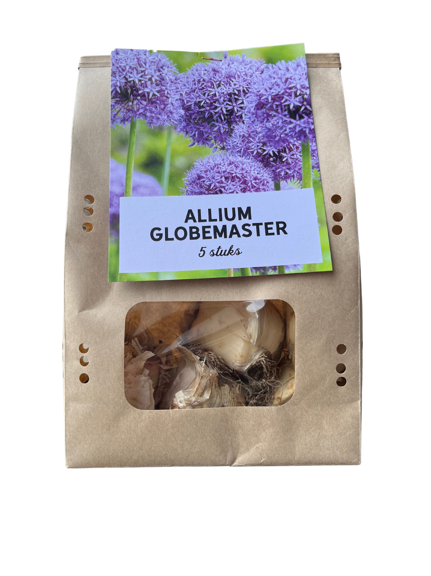 🌿 Allium ‘Globemaster’ – Paarse Sierui (5 Bollen)