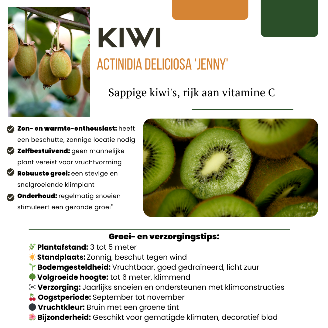 🍓 BIO Fruitplanten Mix ‘Zoete Oogst’ (3 Stuks)