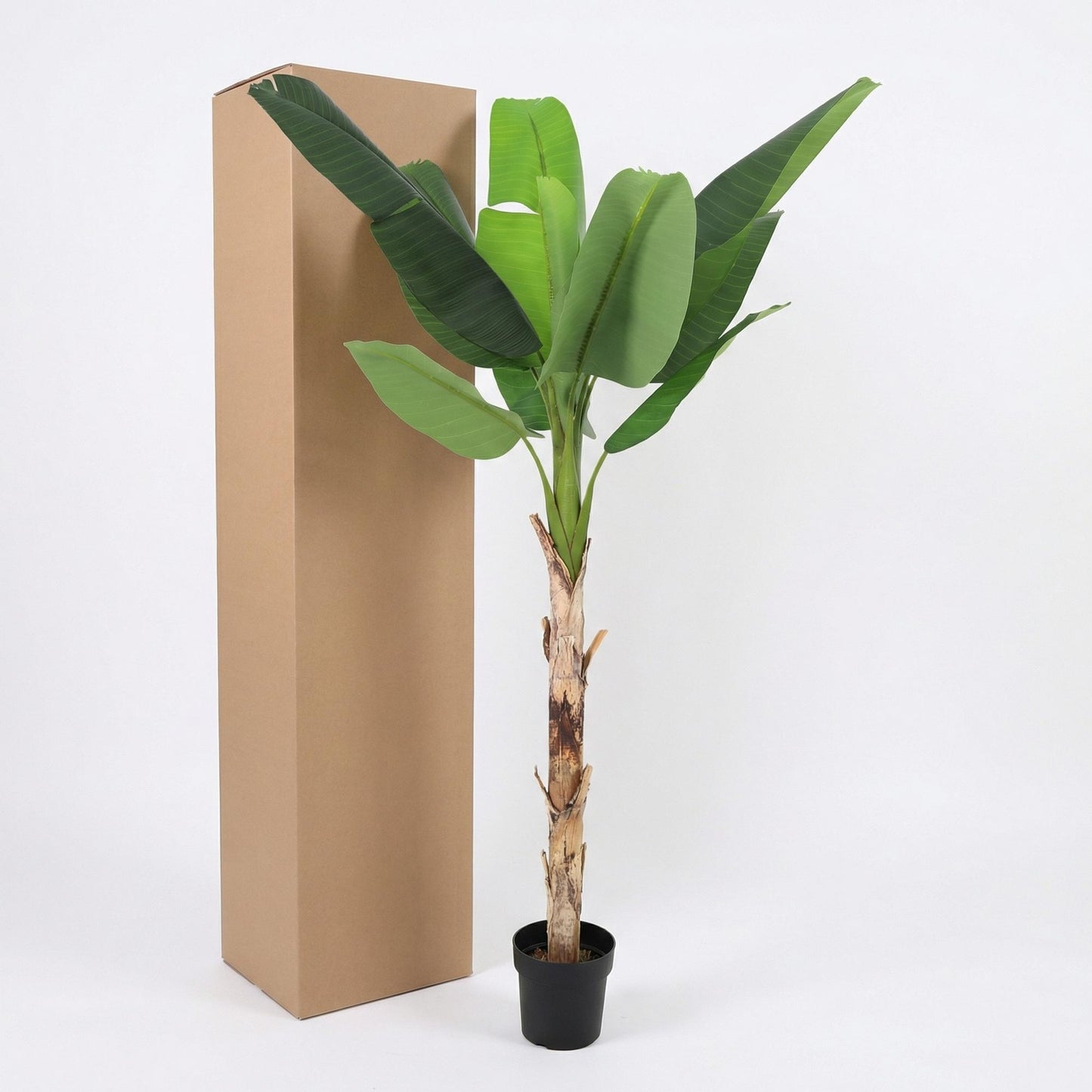🌴 Kunst Bananenplant Musa