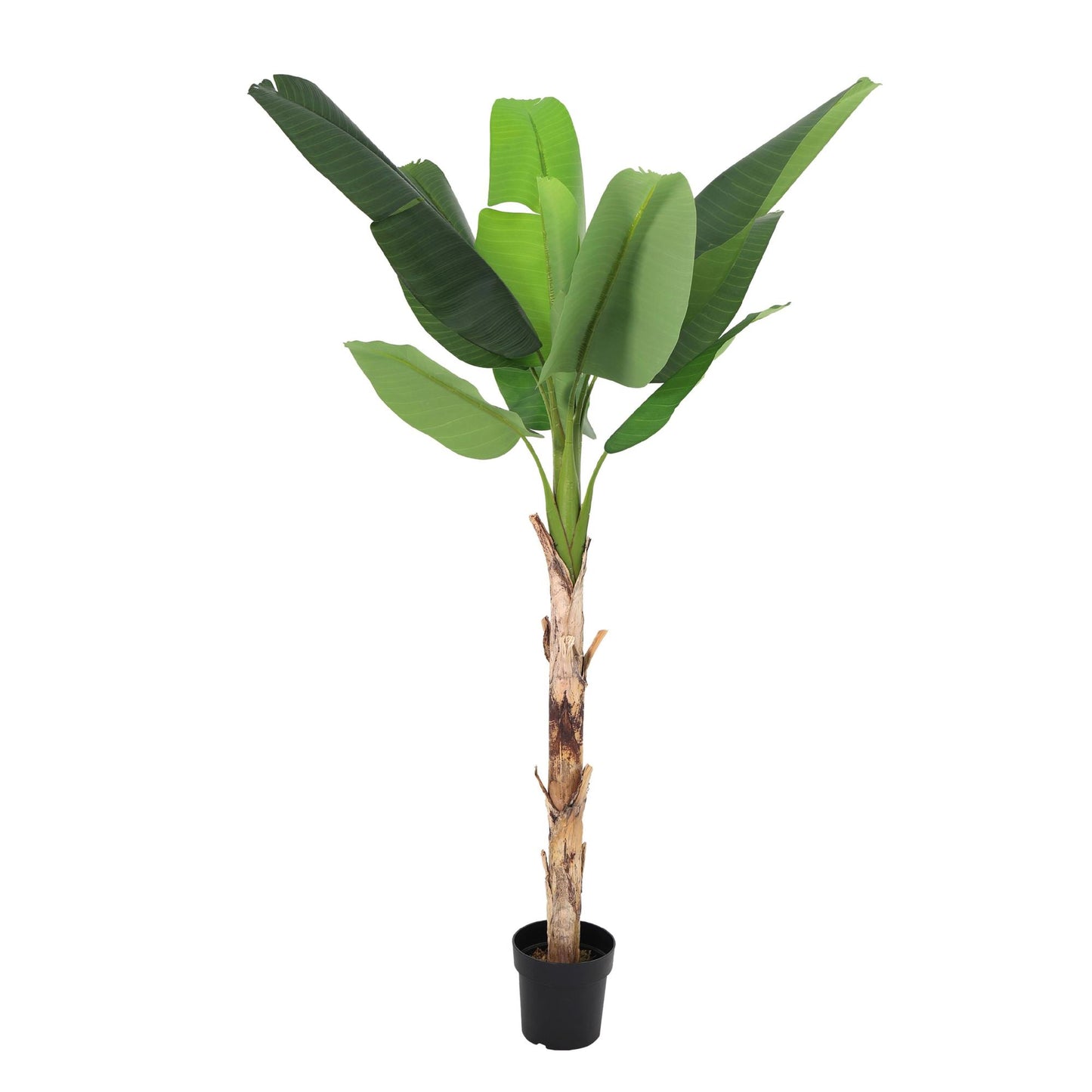 🌴 Kunst Bananenplant Musa
