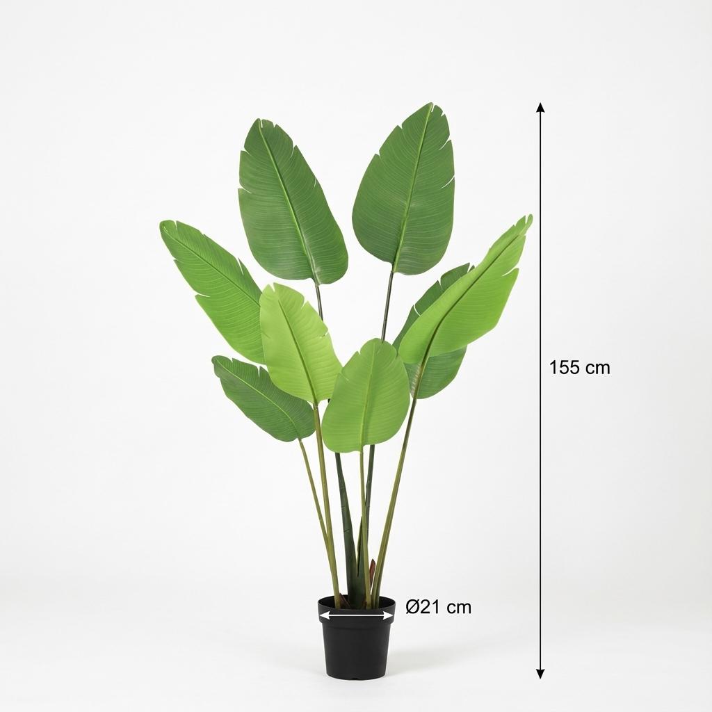 🌿 Kunst Strelitzia Nicolai
