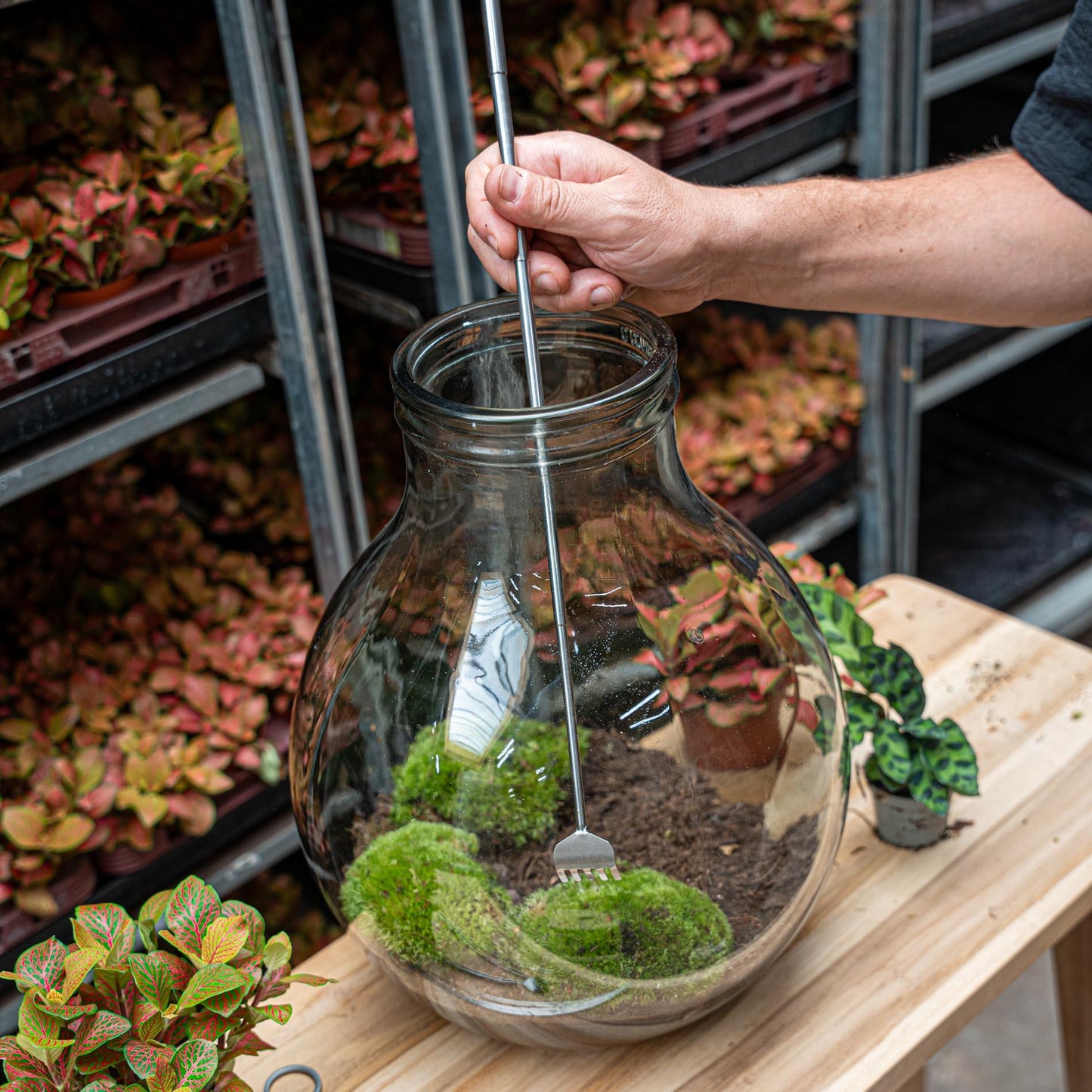 Terrarium Tool ✨ | Hark – 16–49 cm – Telescopisch RVS – Duurzaam & Praktisch