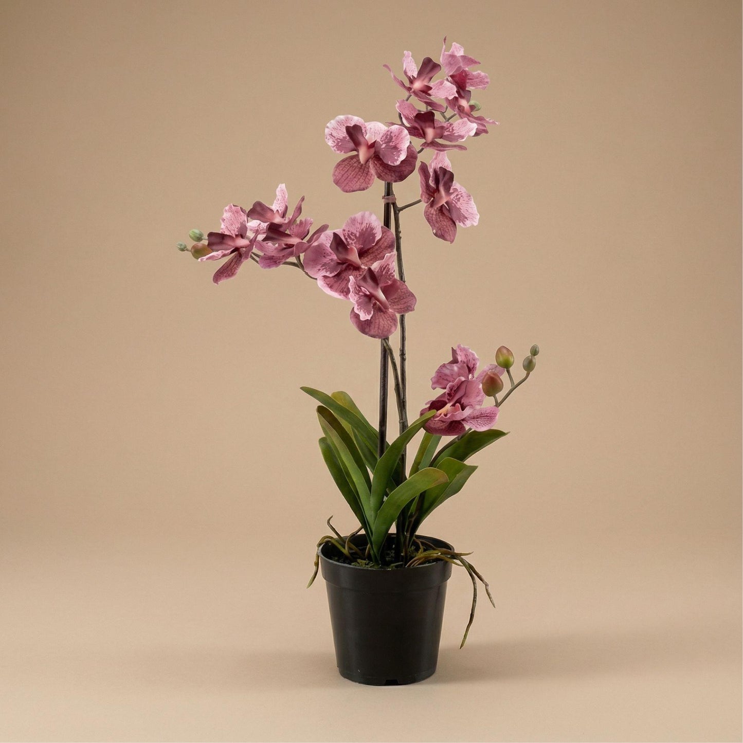 🌸 Vanda Orchidee – Kunstplant in Pot (60 cm, Oudroze)