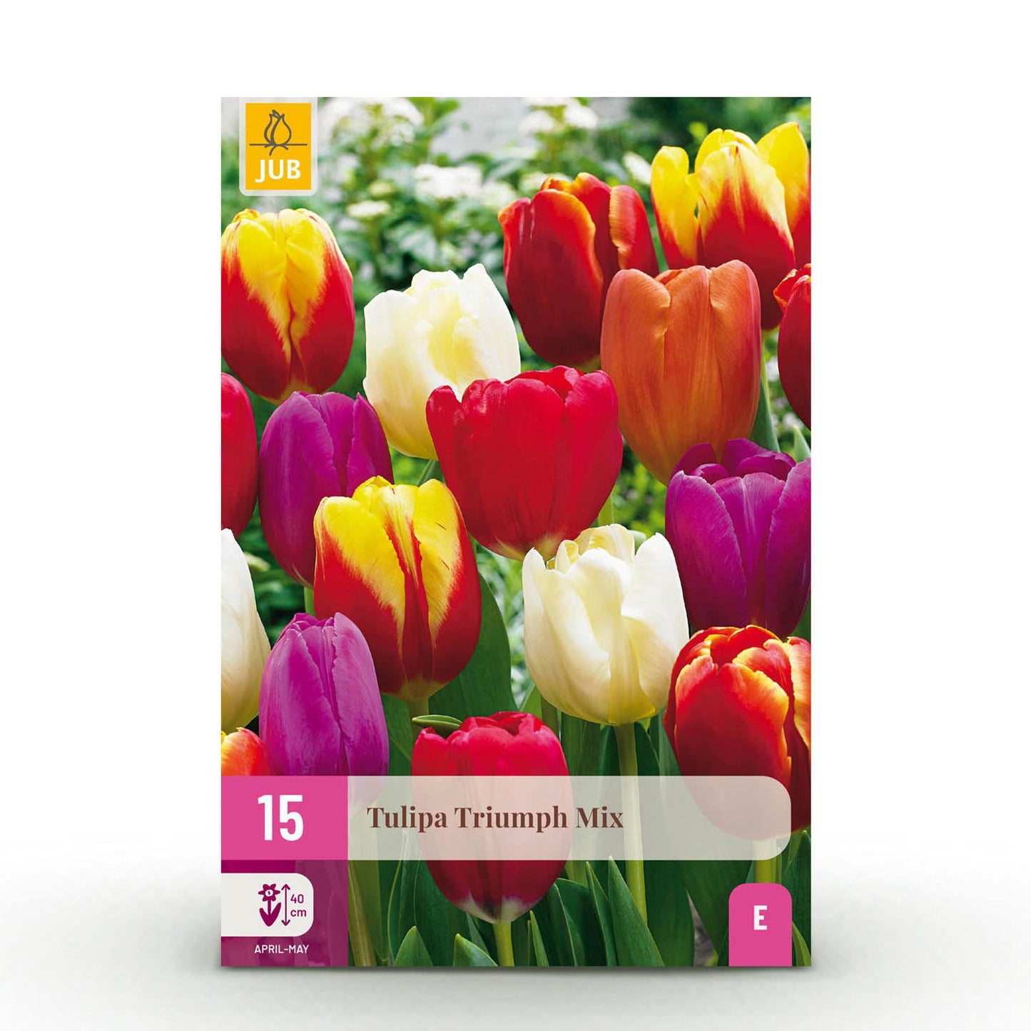 🌷 Tulp Triumph Mix – Kleurrijke Voorjaarsbloeiers (15 stuks)