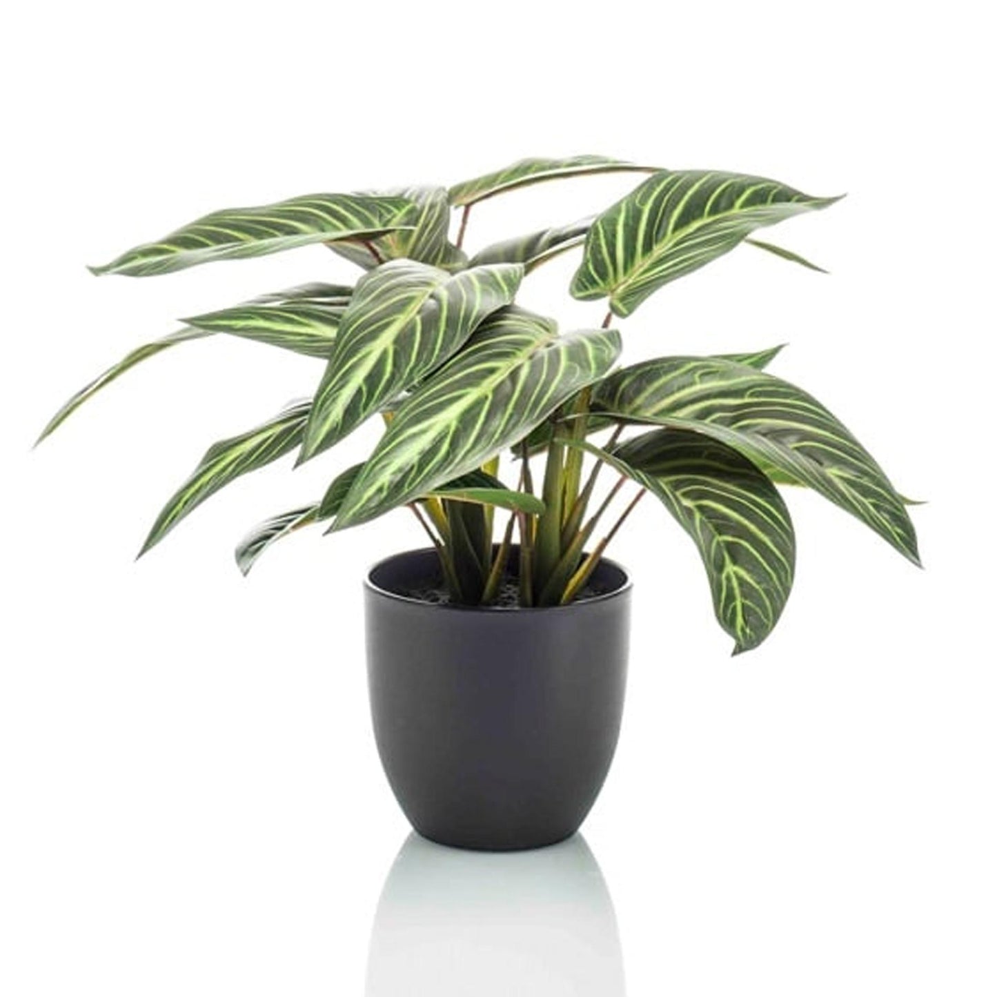 🌿 Calathea Zebrina – Realistische Kunstplant in Pot (42 cm)