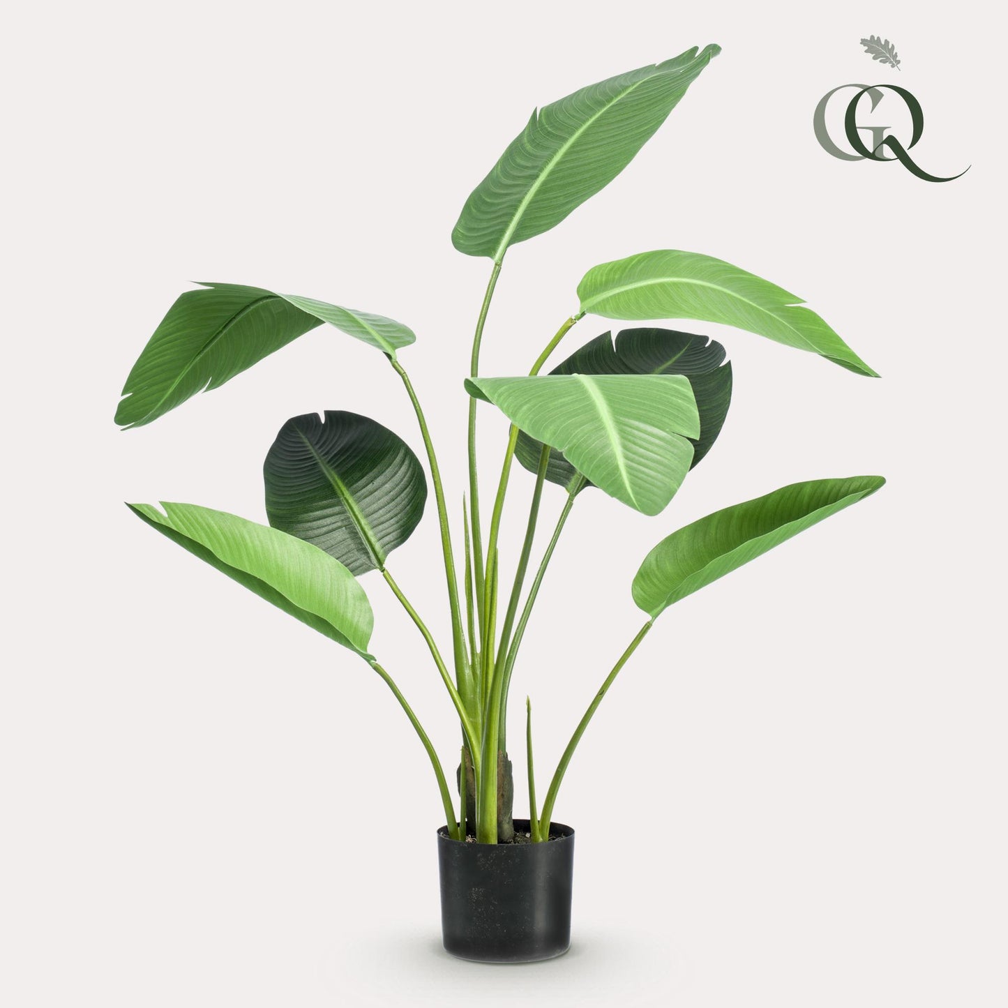 🌿 Kunst Strelitzia Nicolai – Paradijsvogelplant Kunstplant