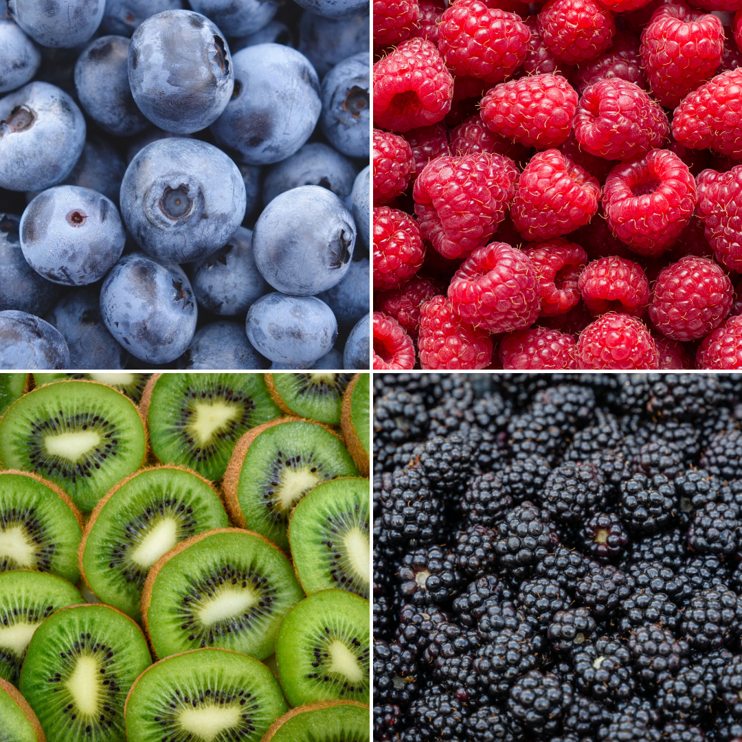🍓 BIO Fruitplanten Mix ‘Zomervruchten’ (4 Stuks)