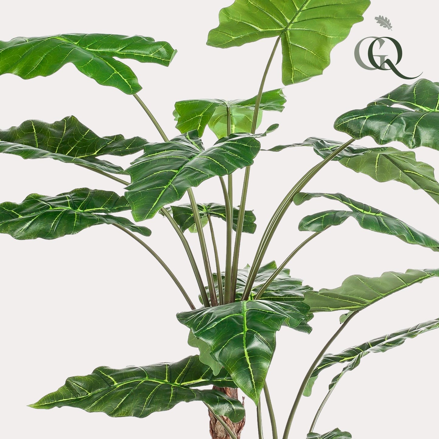 🌿 Kunstplant Alocasia – Olifantsoor | Luxe Tropische Kunstplant