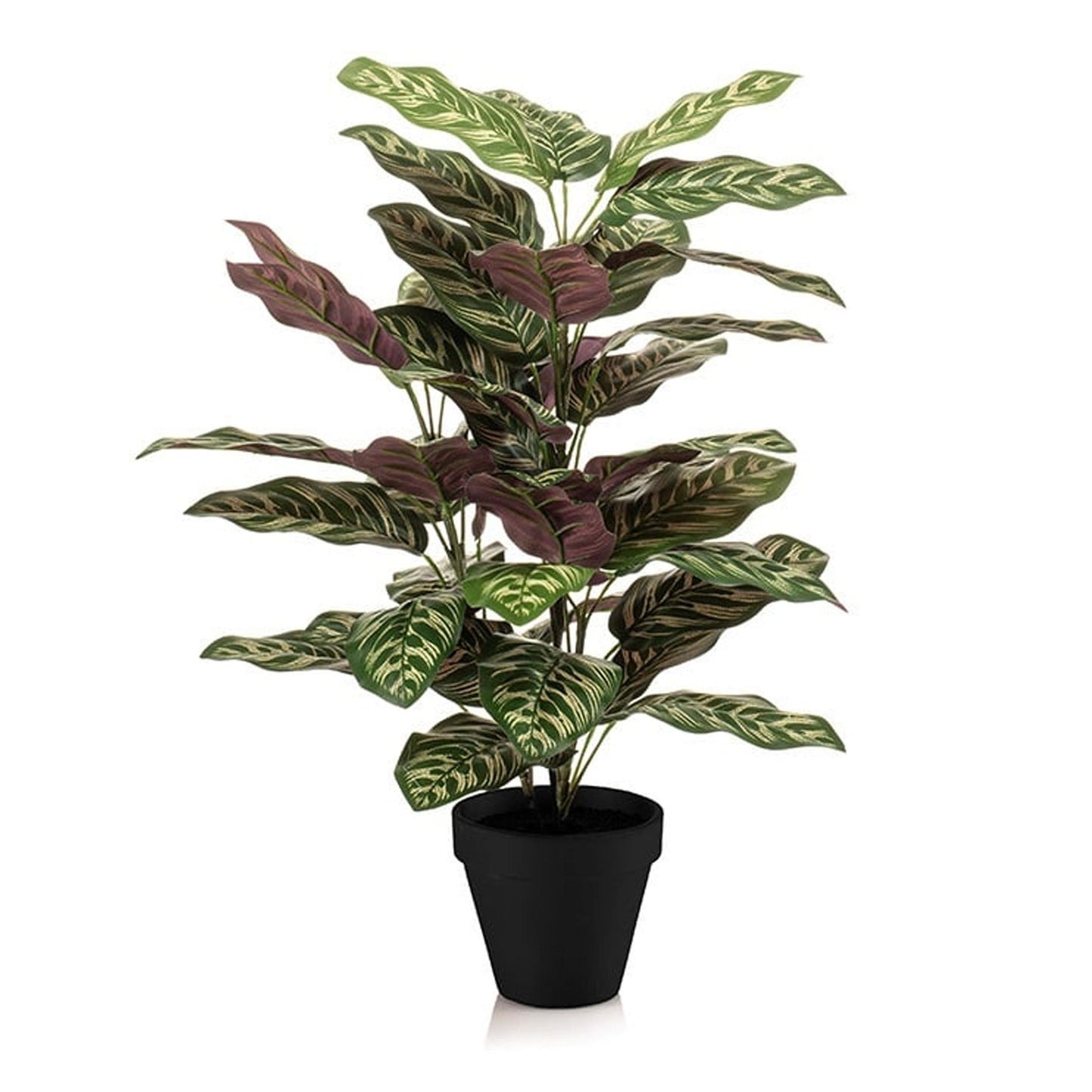 🌿 Calathea – Realistische Kunstplant in Pot (65 cm)