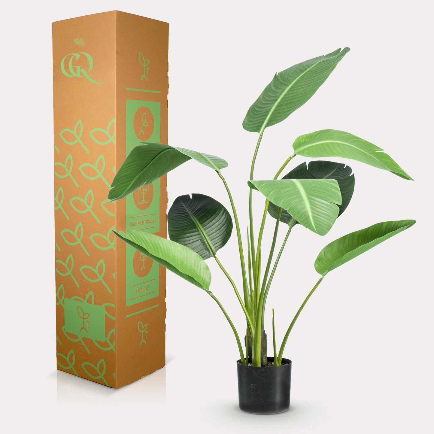 🌿 Kunst Strelitzia Nicolai – Paradijsvogelplant Kunstplant