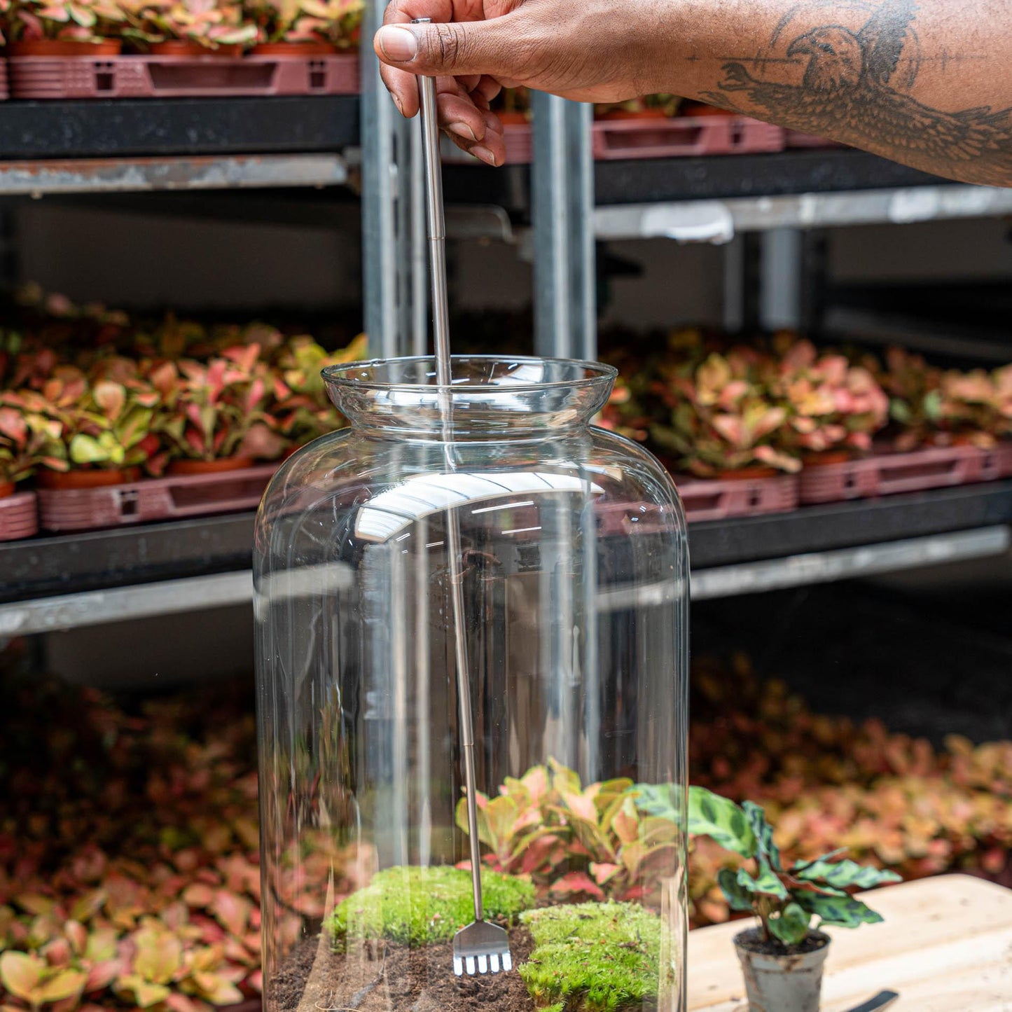 Terrarium Tool ✨ | Hark – 16–49 cm – Telescopisch RVS – Duurzaam & Praktisch