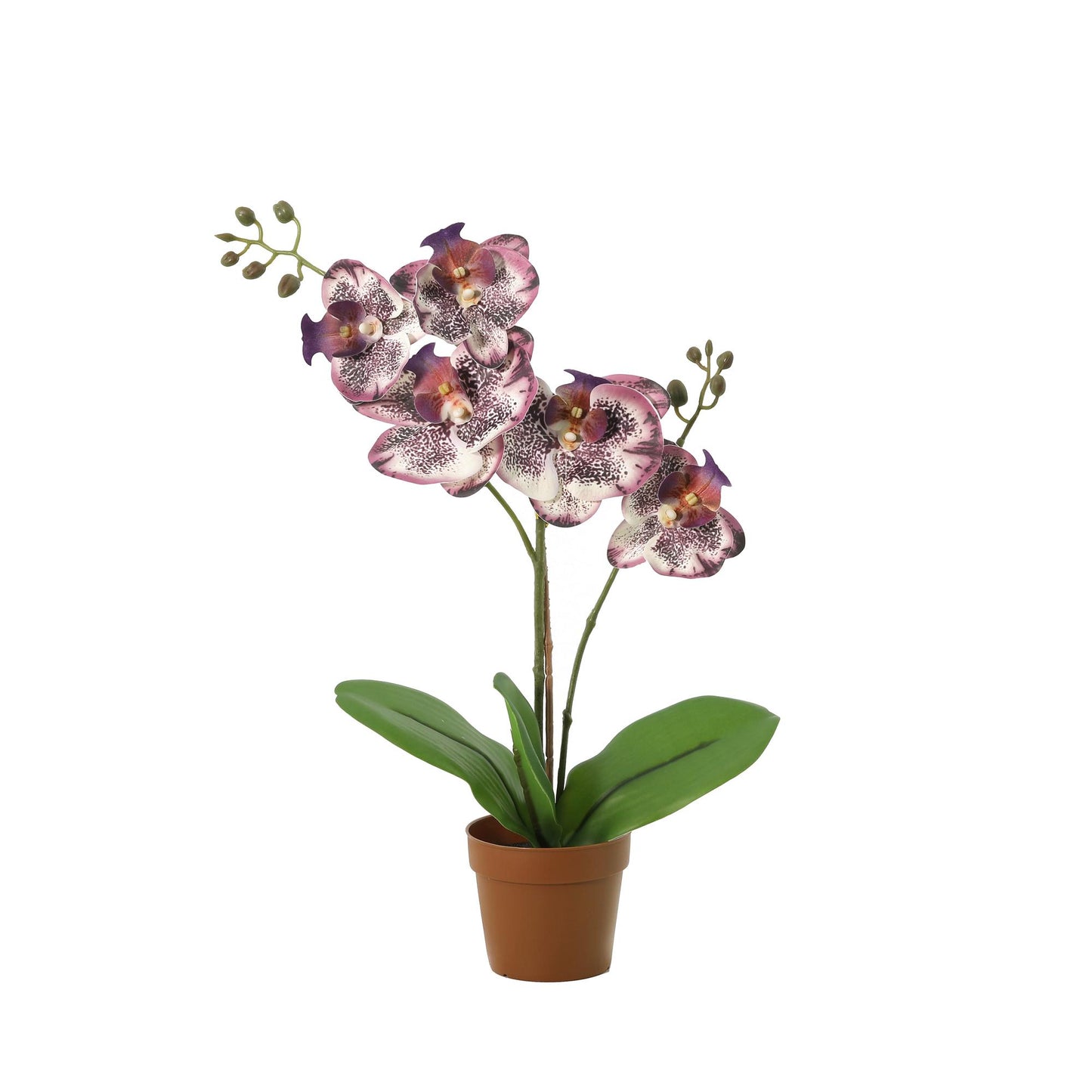 💜 Kunst Phalaenopsis Orchidee Paars | Luxe Real Touch Orchidee