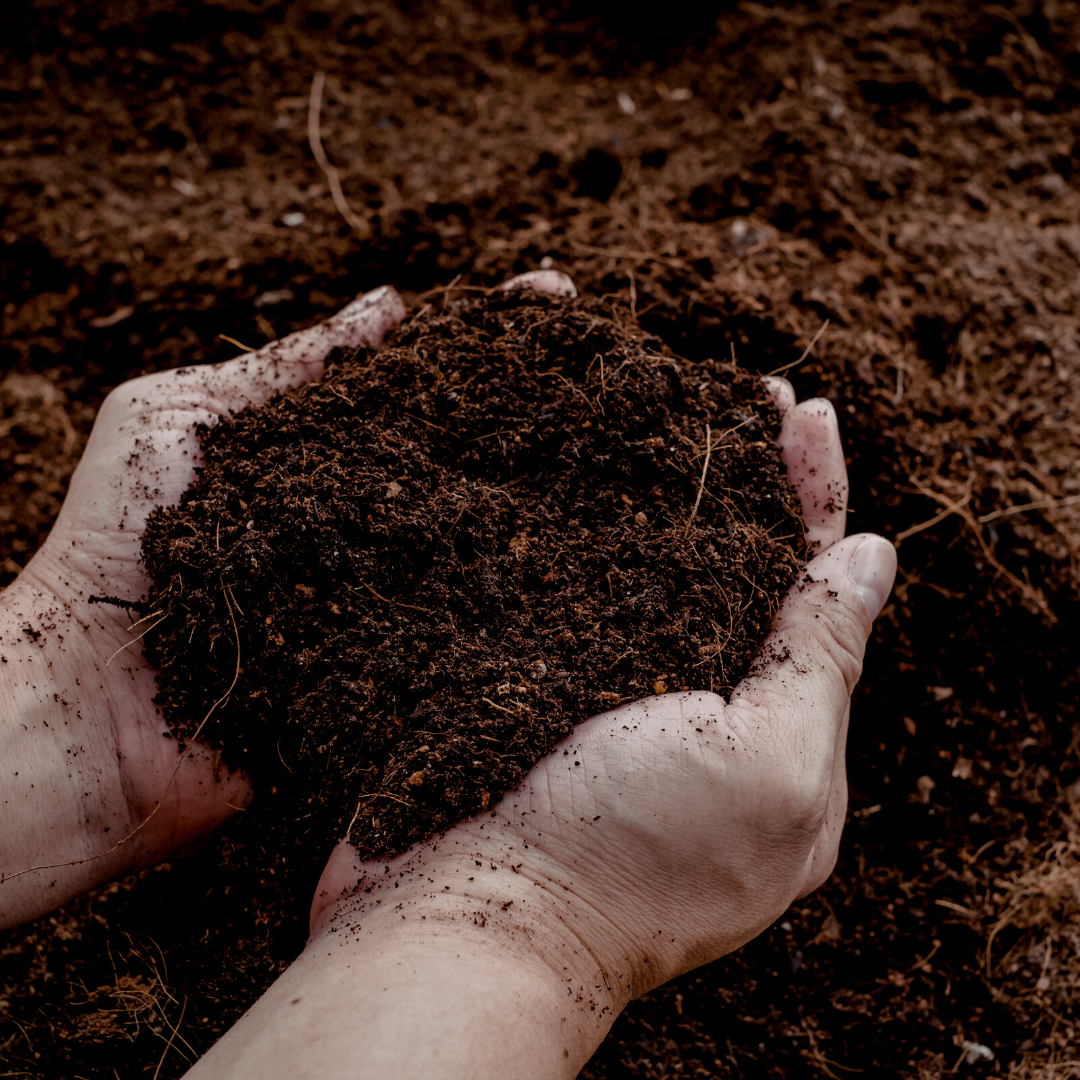 🌱 Potgrond Universeel 30 Liter | Voor Binnen- en Buitenplanten