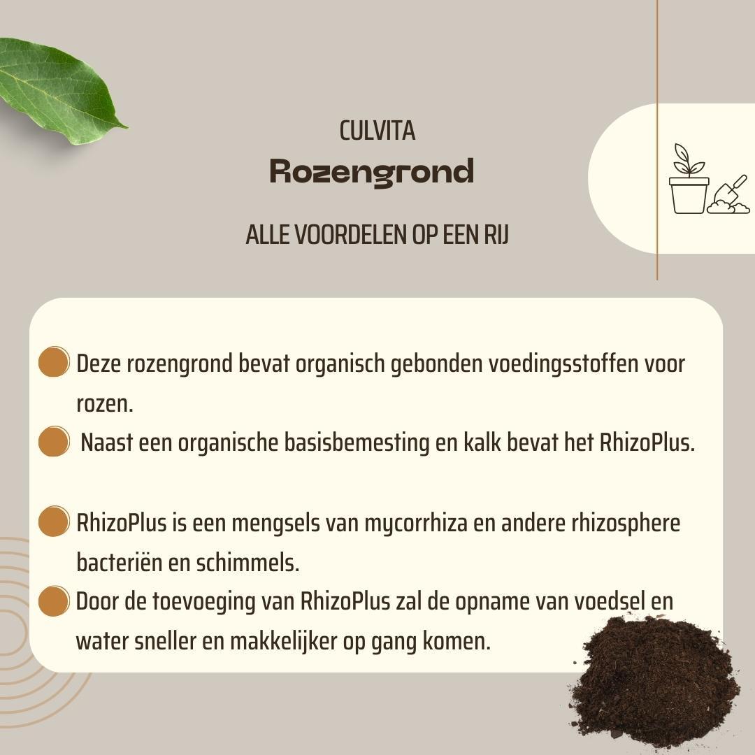 🌹 Culvita Rozengrond 40L – Voor Bloeiende Rozen met RhizoPlus