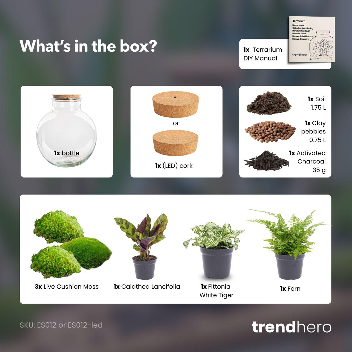 💡 DIY Plantenterrarium met Verlichting – Bolder Bob