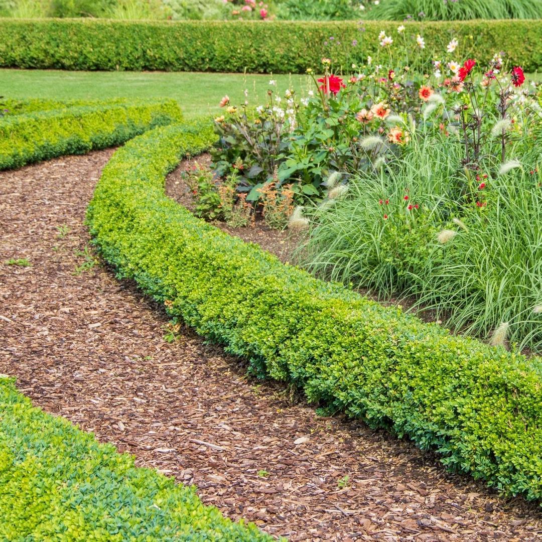 🌿 Culvita Premium Franse Boomschors 30-40 mm | Sierschors & Bodembedekker 40L
