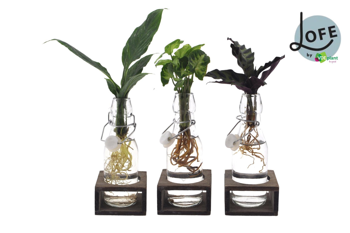 ✨ Intenz Mix in Ann Glas met Witte Dop & Naturel Single | Luxe Decoratieset (3 Stuks)
