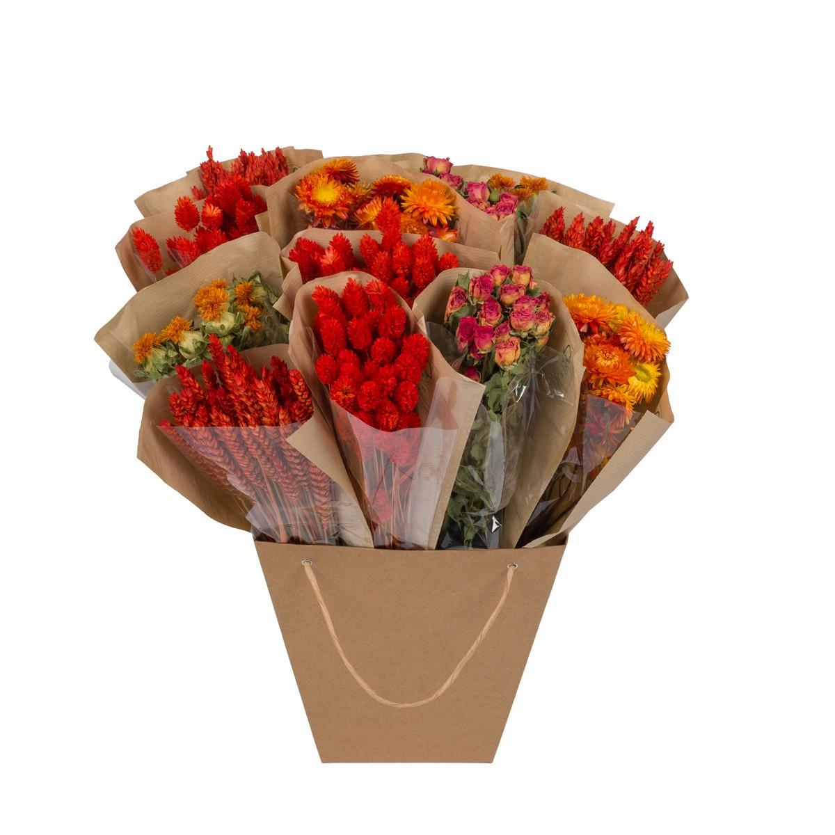 Droogbloemen – Dried Mono Mix Orange
