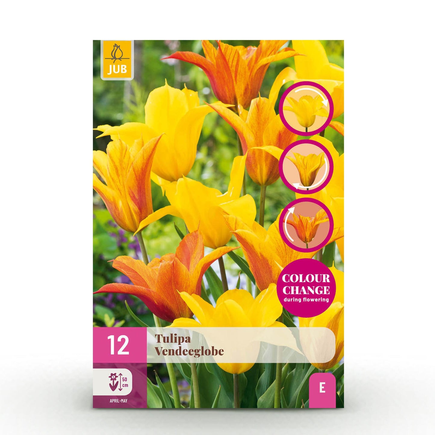 🌷 Tulp ‘Vendeeglobe’ – Geel (12 stuks)