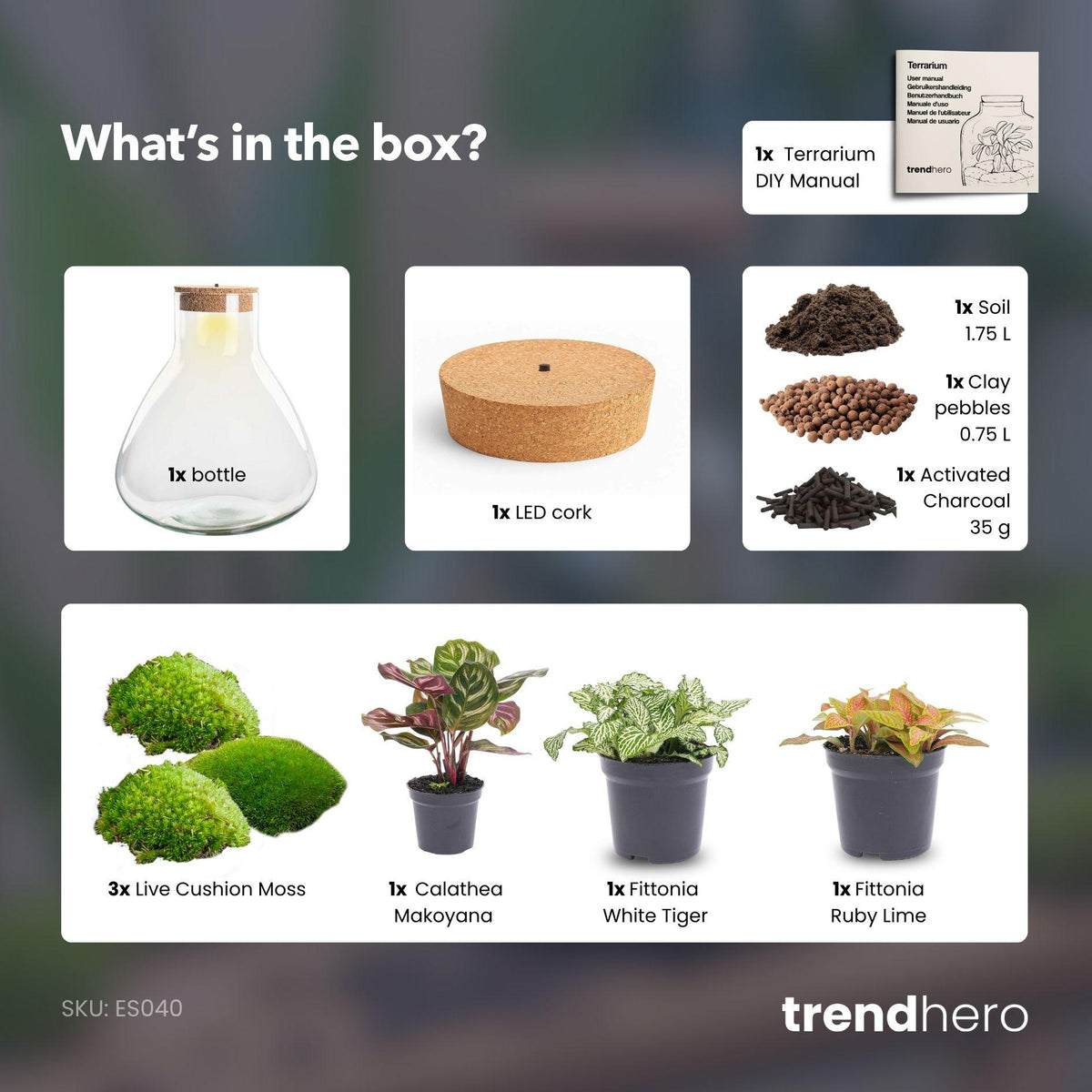 💡 DIY Plantenterrarium met Verlichting – Sam XL Red