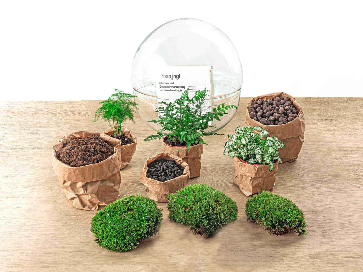 🌿 DIY Plantenterrarium Bolglas – Dome XL