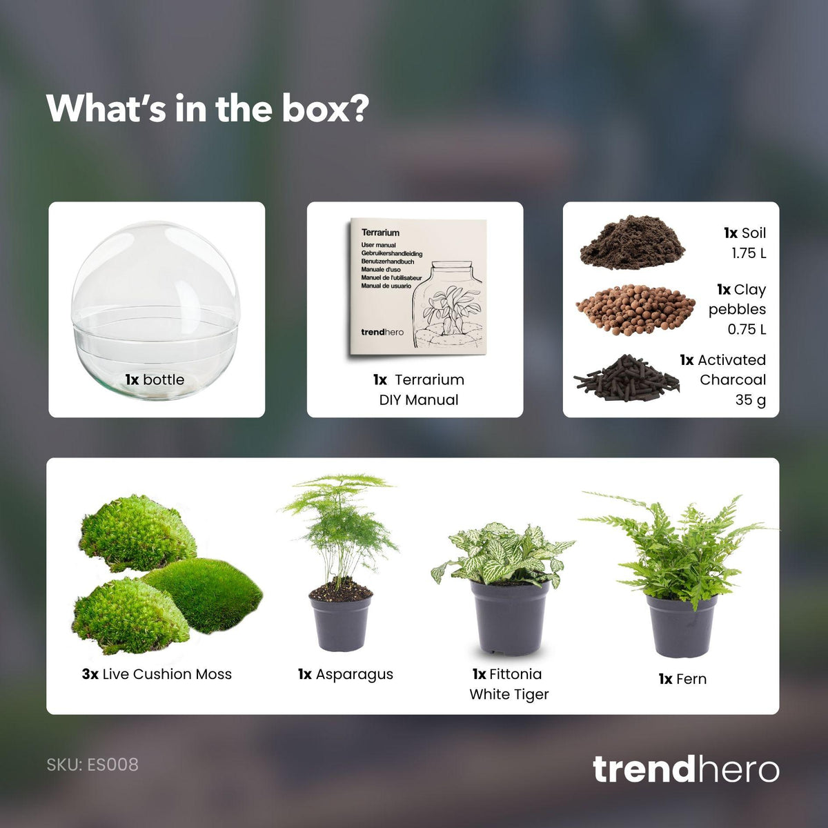 🌿 DIY Plantenterrarium Bolglas – Dome XL
