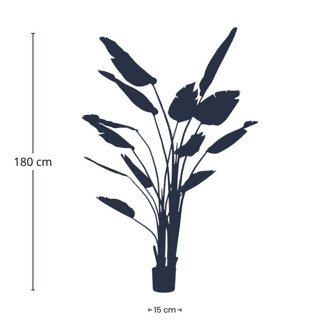 🌿 Strelitzia nicolai – Grote Realistische Kunstplant (180 cm)