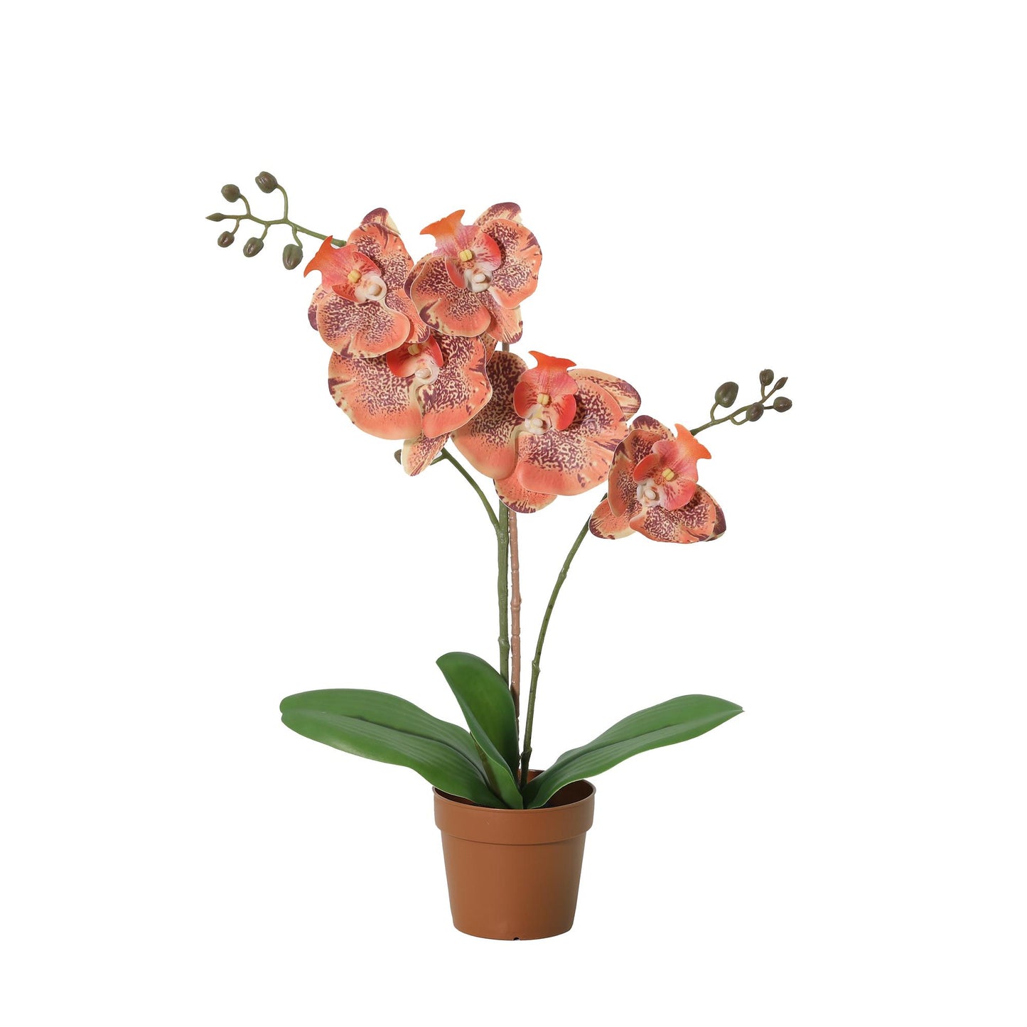 🧡 Kunst Phalaenopsis Orchidee Oranje | Luxe Real Touch Orchidee