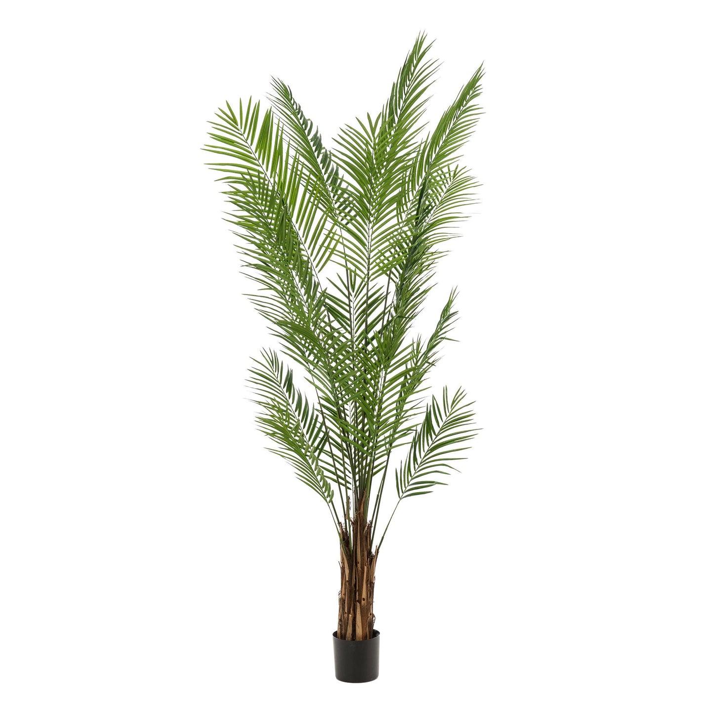 🌴 Areca Goudpalm – Dypsis lutescens Kunstplant