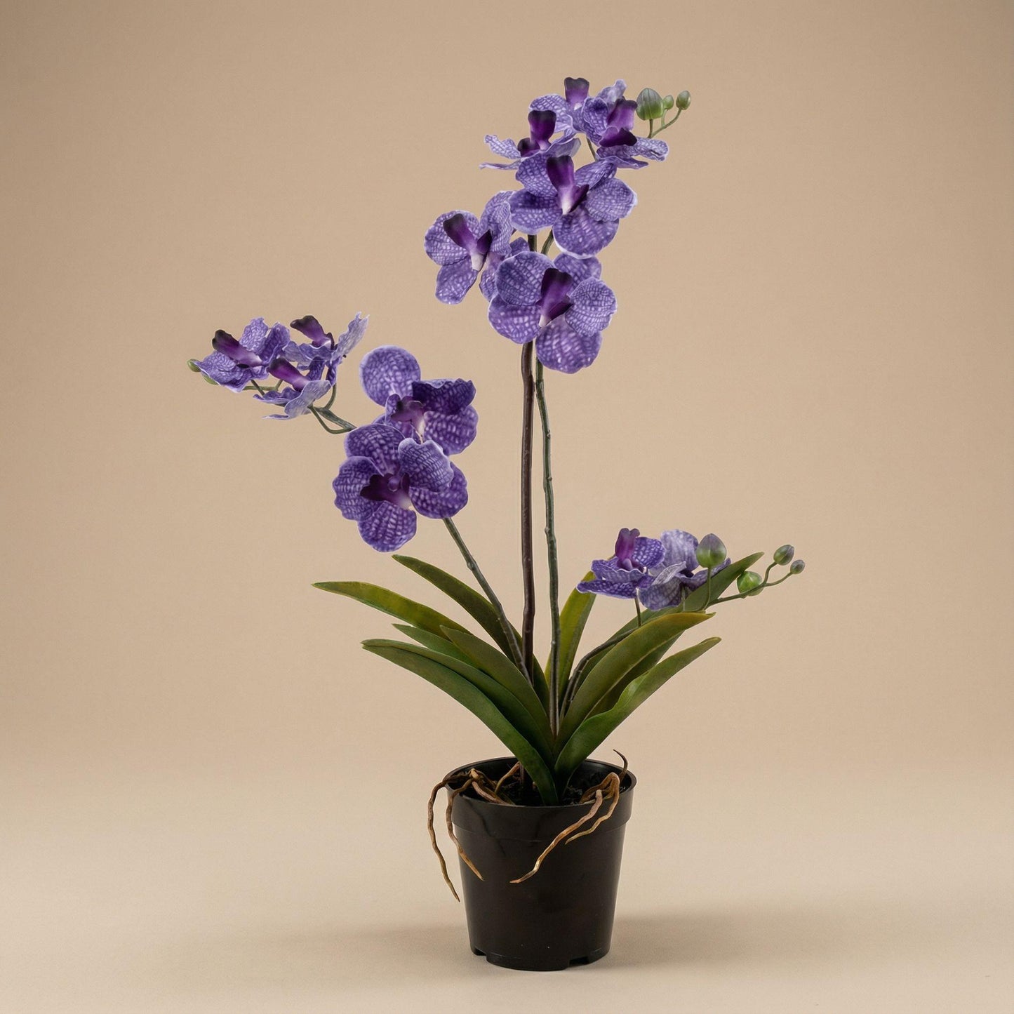 🌸 Vanda Orchidee – Kunstplant in Pot (60 cm, Paars)