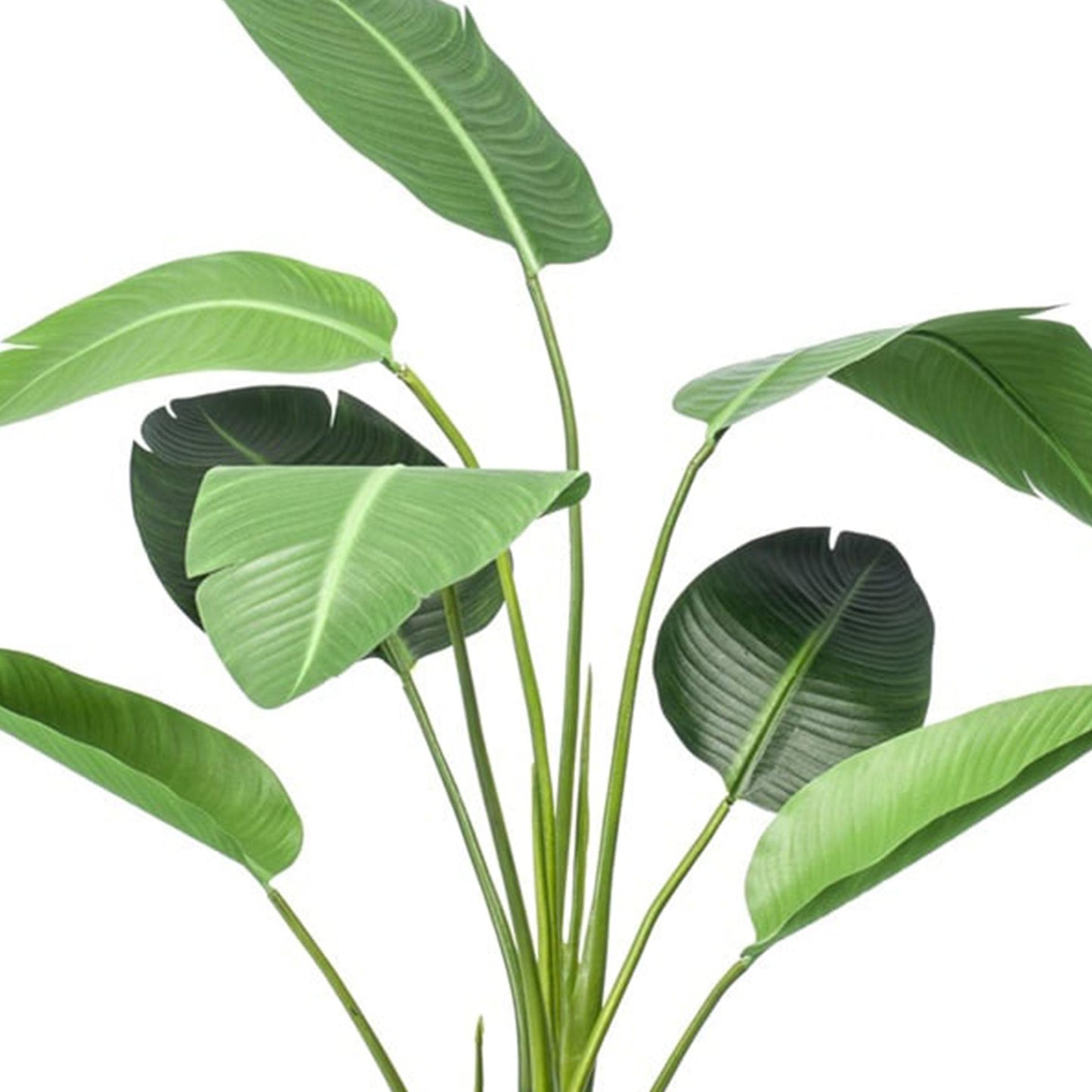 🌿 Strelitzia – Realistische Kunstplant in Pot (120 cm)