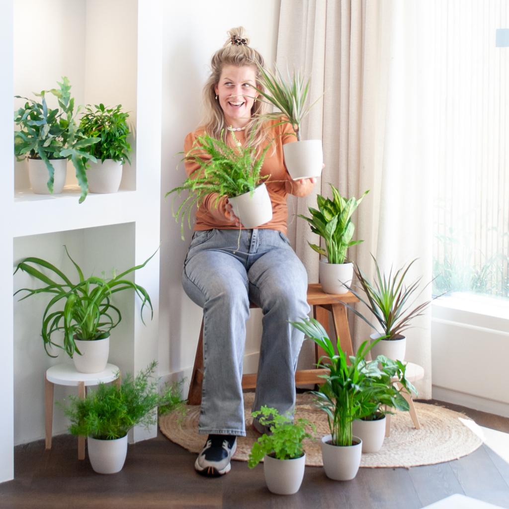 🌿 Groene Kneusjesbox (12 Stuks) – Passie voor Groen met Vibers Pot Wit