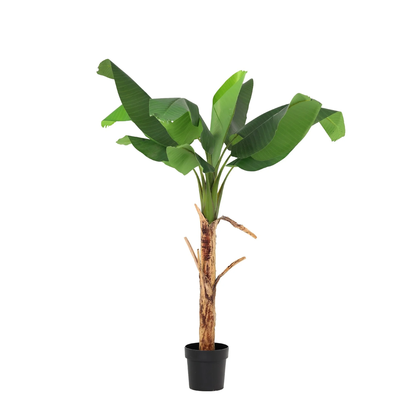 🌿 Kunst Bananenplant Musa – Tropische Kunstplant