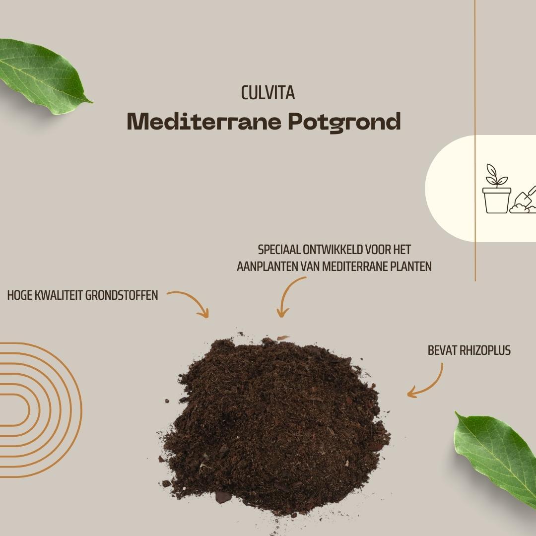 🌿 Culvita Mediterrane Potgrond 40L | Speciaal voor Olijf, Citrus & Palmen